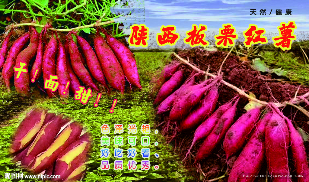板栗红薯