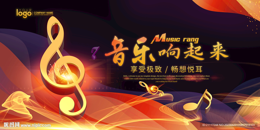 精美音乐宣传海报