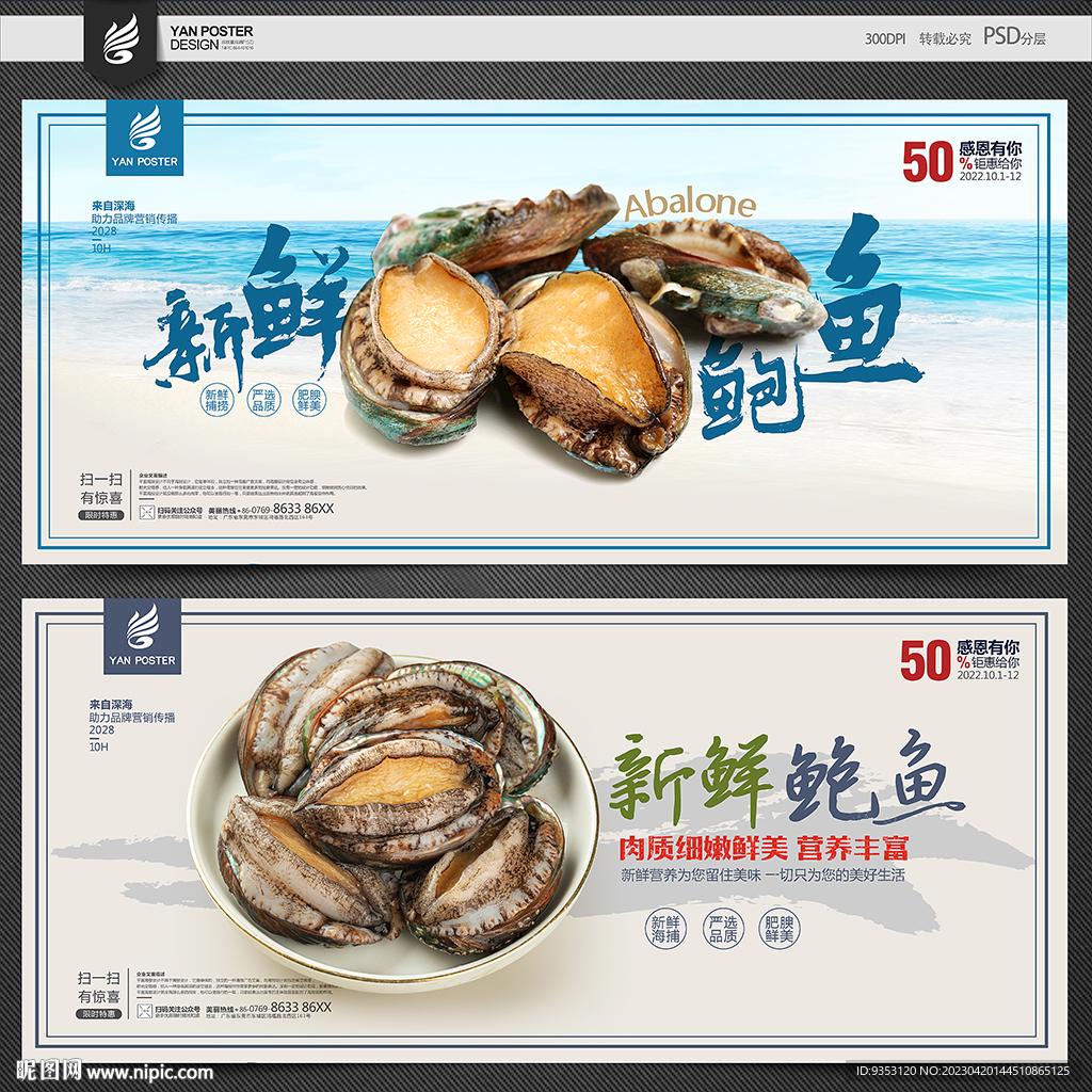 鲍鱼