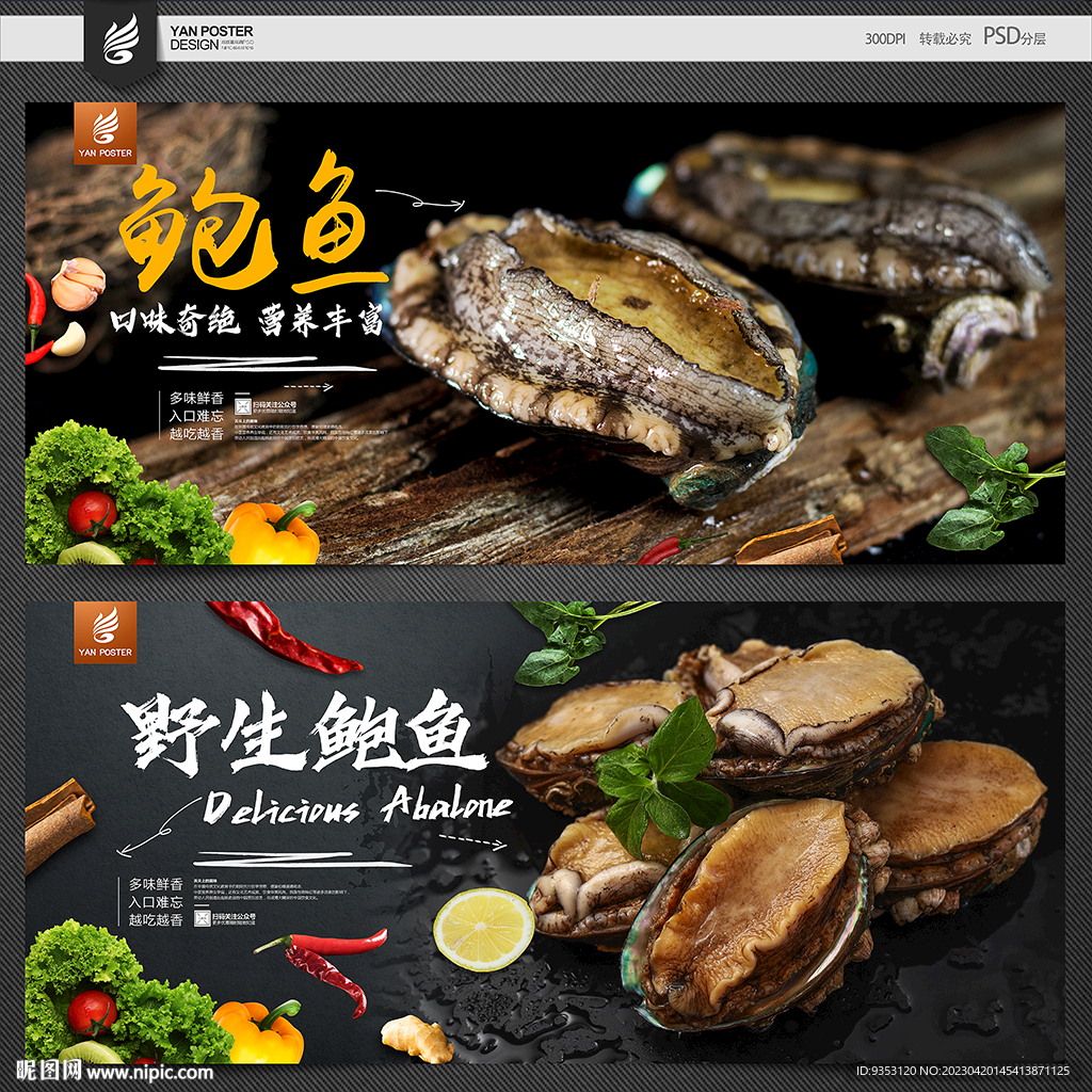 鲍鱼