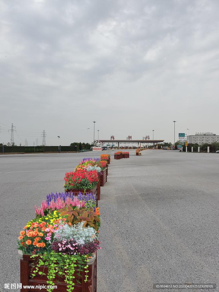 城市花箱十一花镜