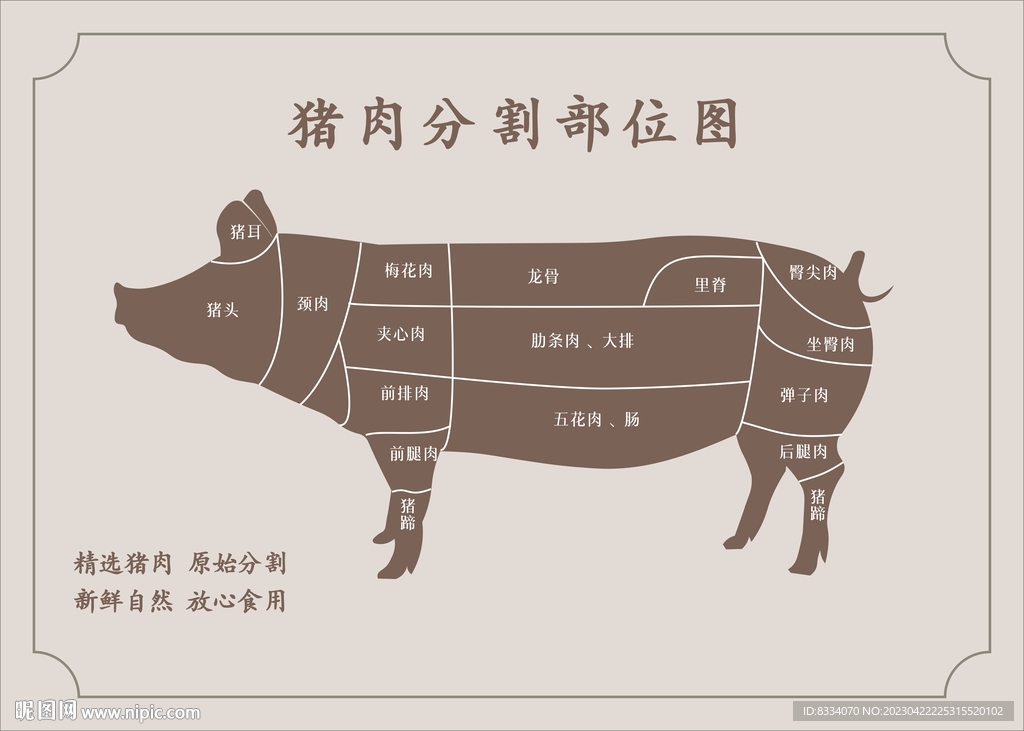 猪肉分割图