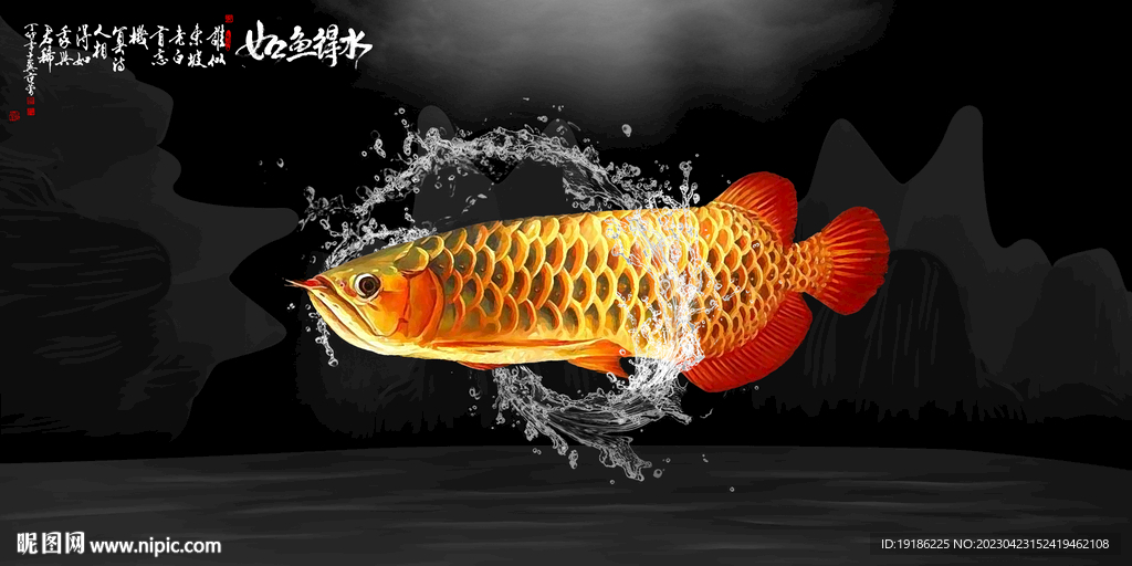 鱼缸背景
