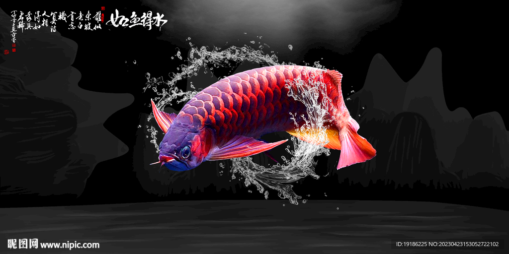鱼缸背景