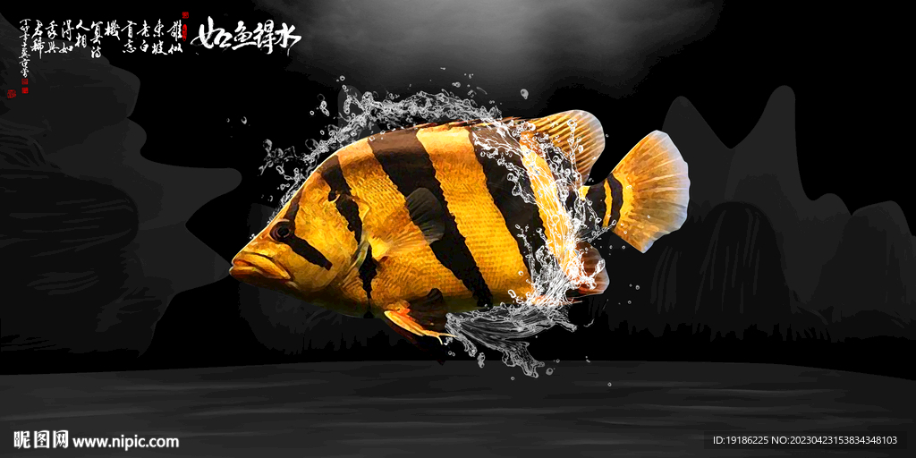 鱼缸背景