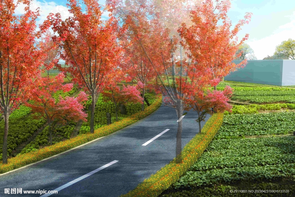 道路景观
