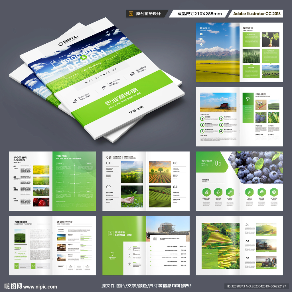 农产品宣传册