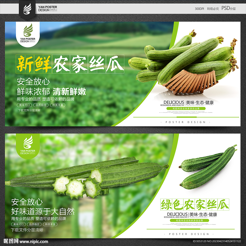 丝瓜