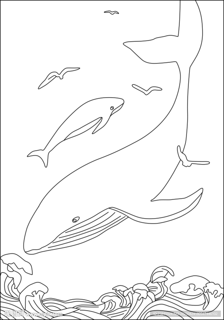 鲸鱼