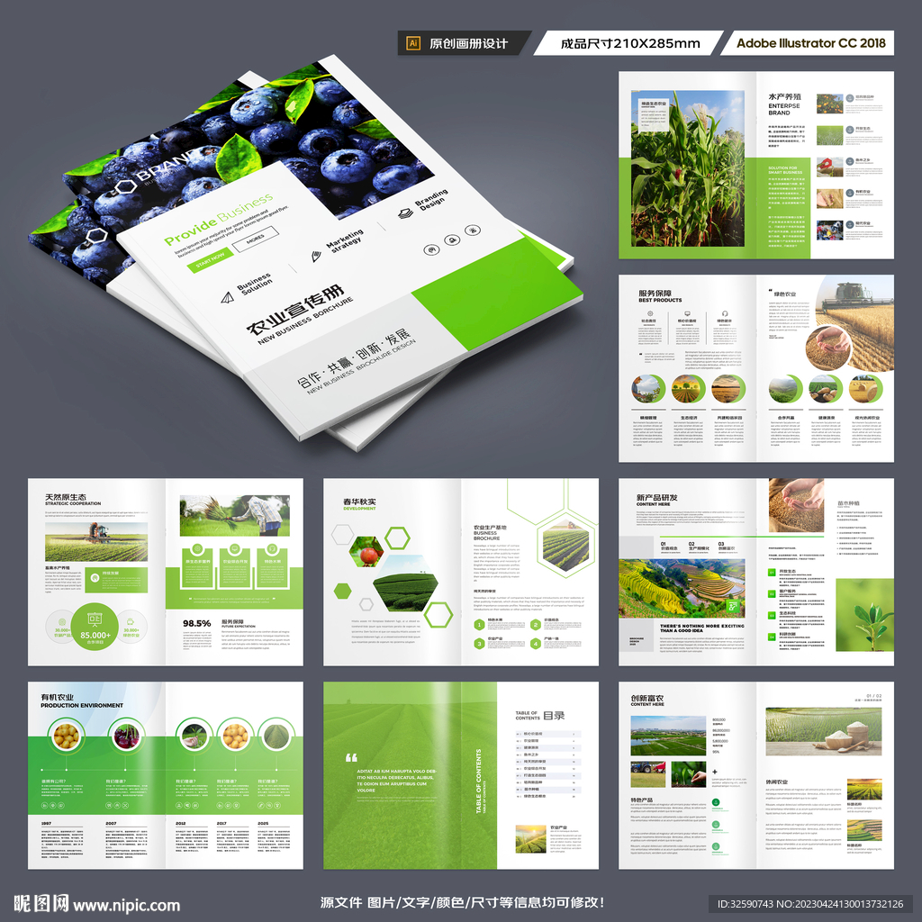 农产品宣传册