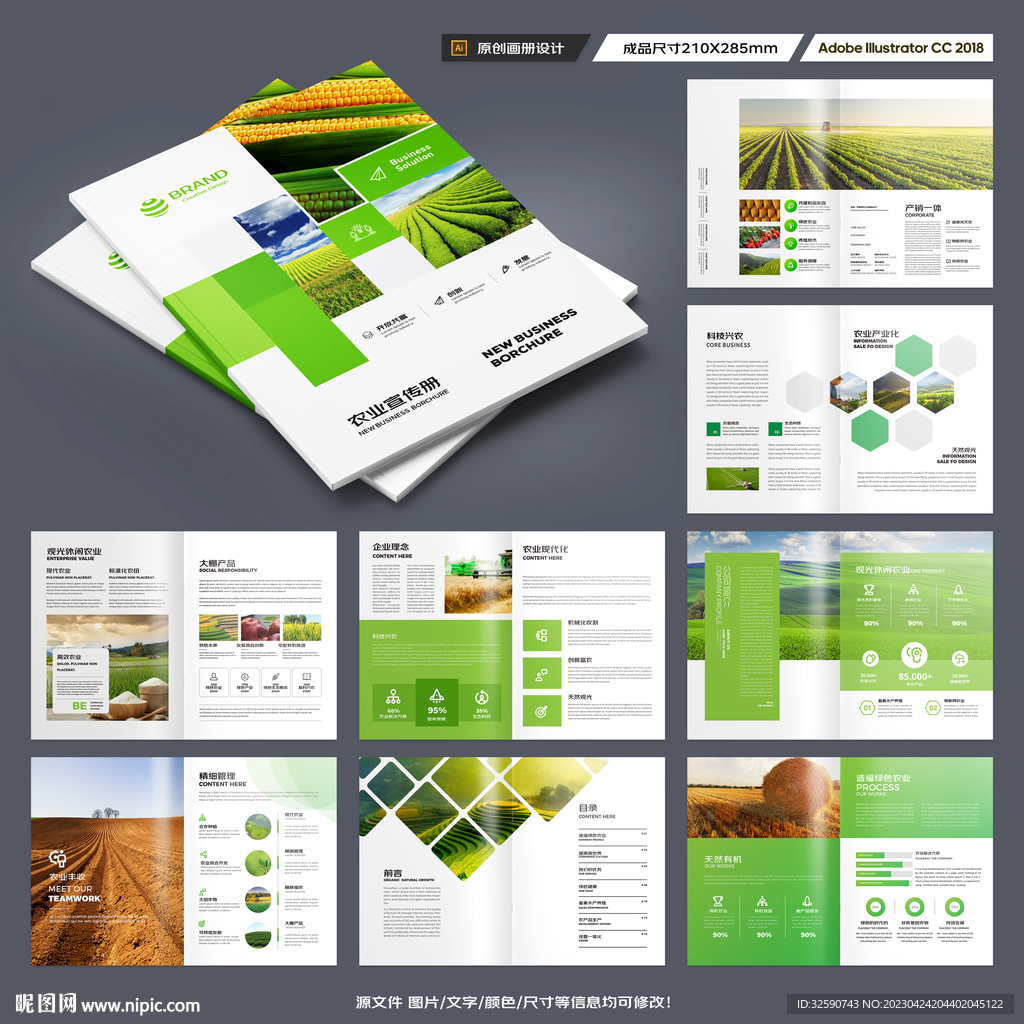 农产品宣传册