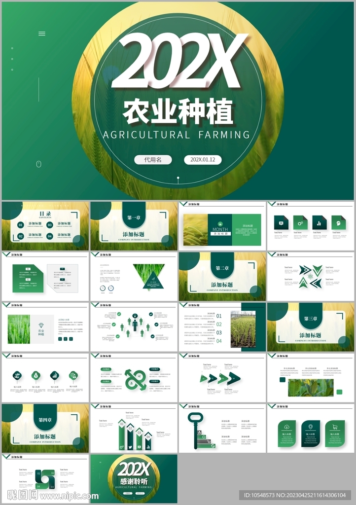 农业汇报农业生产水稻种植ppt