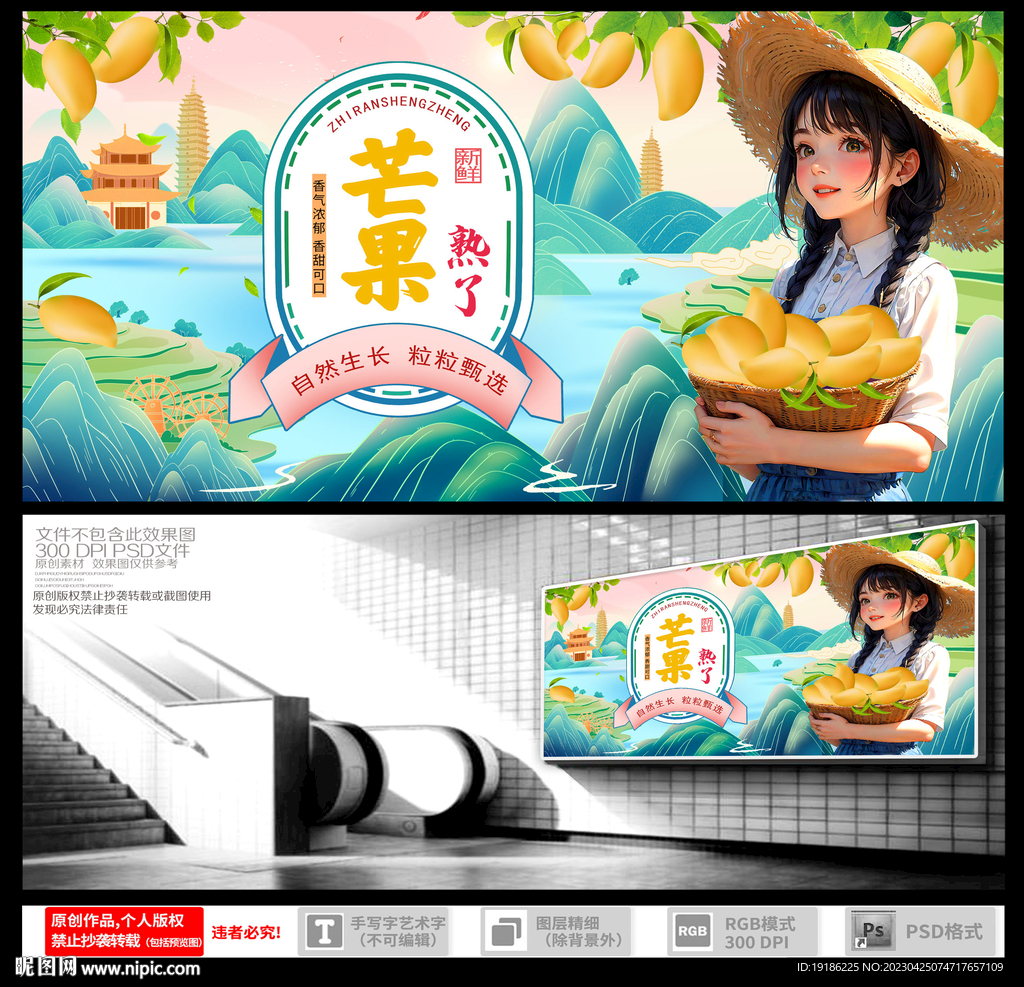 芒果