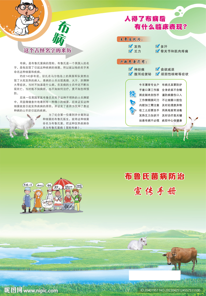 布鲁氏菌病防治宣传手册