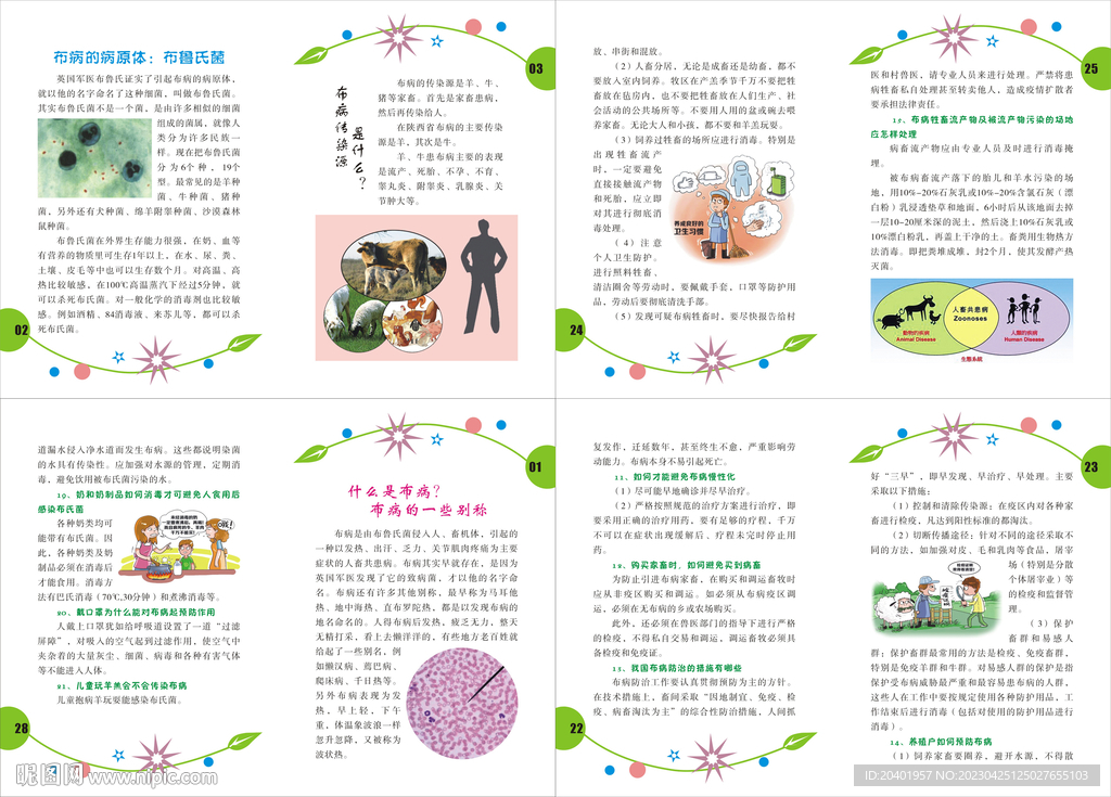 布鲁氏菌病防治宣传手册内页