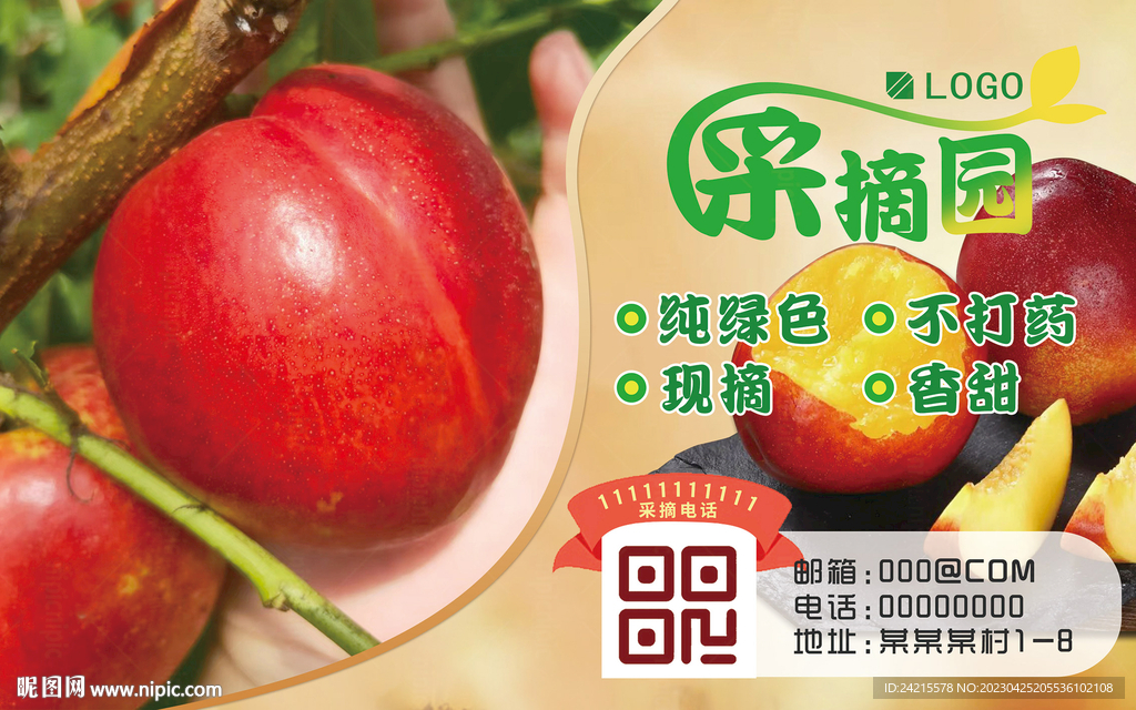 采摘园展板 油桃图片