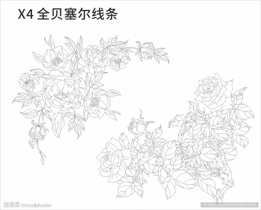 牡丹花线条