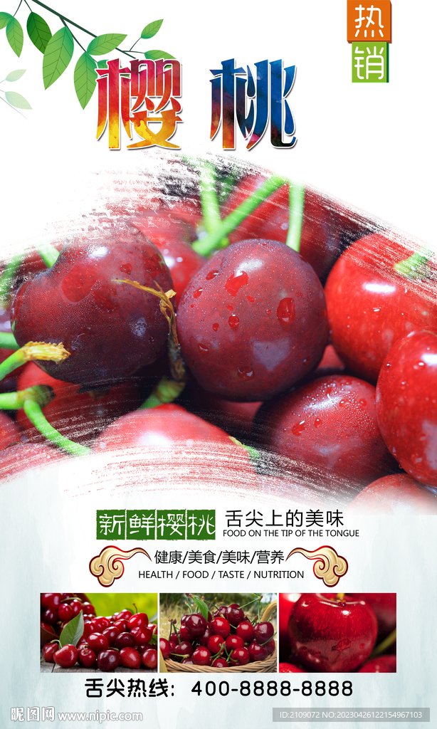 樱桃 