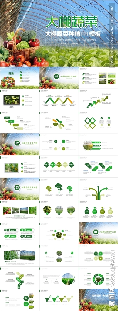 大棚蔬菜种植基地有机蔬菜ppt