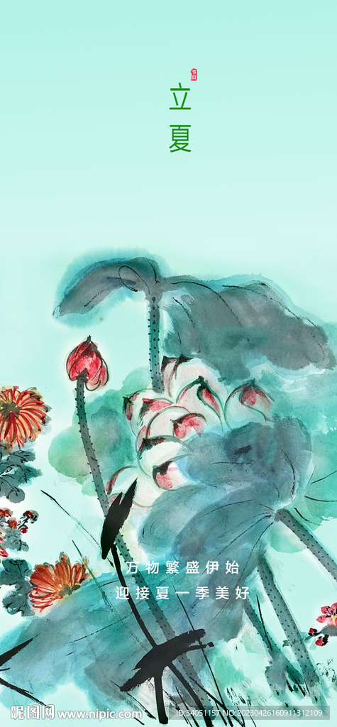 立夏 荷花
