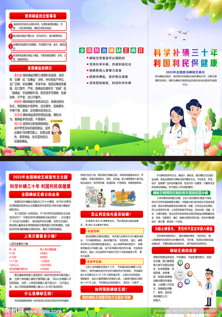 2023年防治碘缺乏病日折页