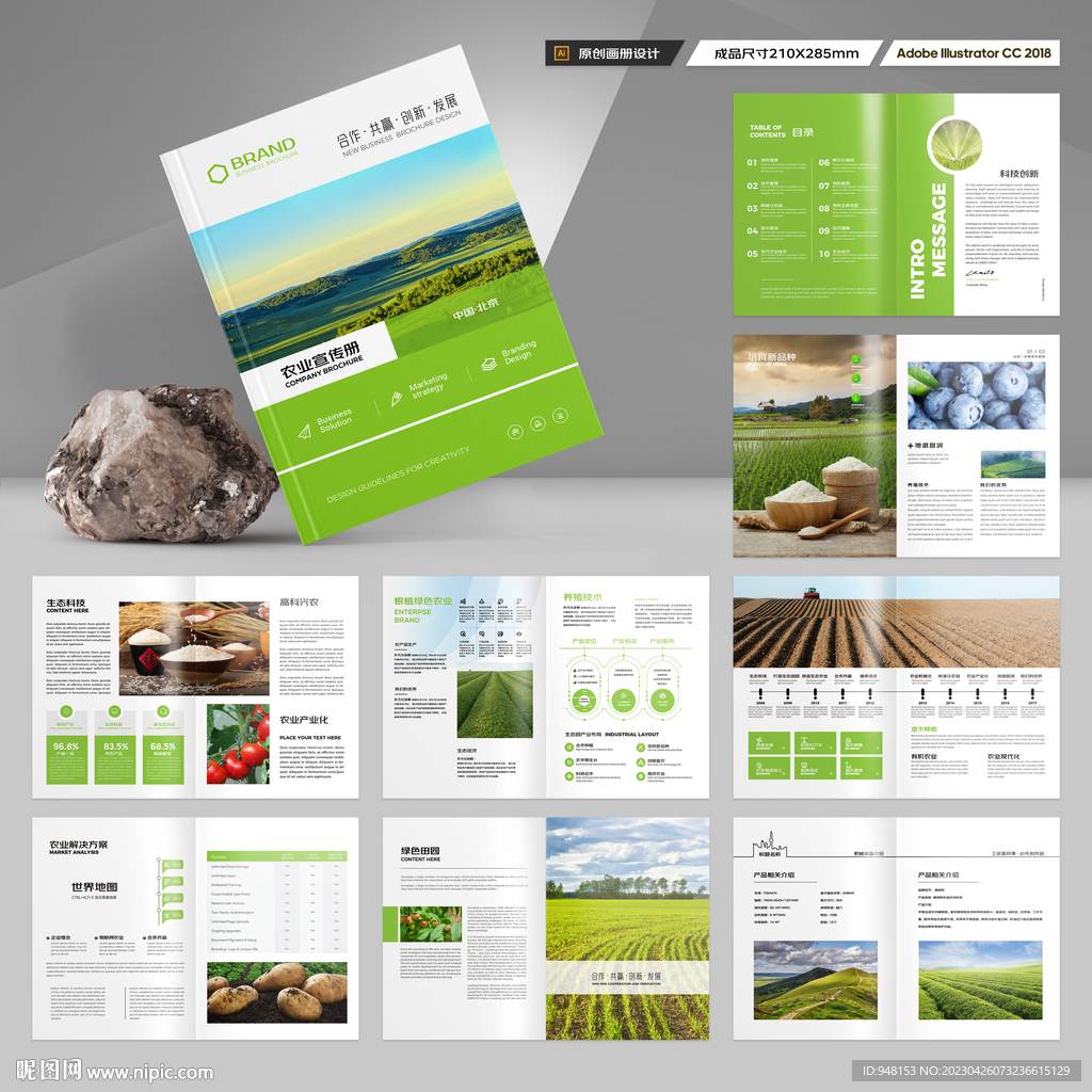 农产品宣传册