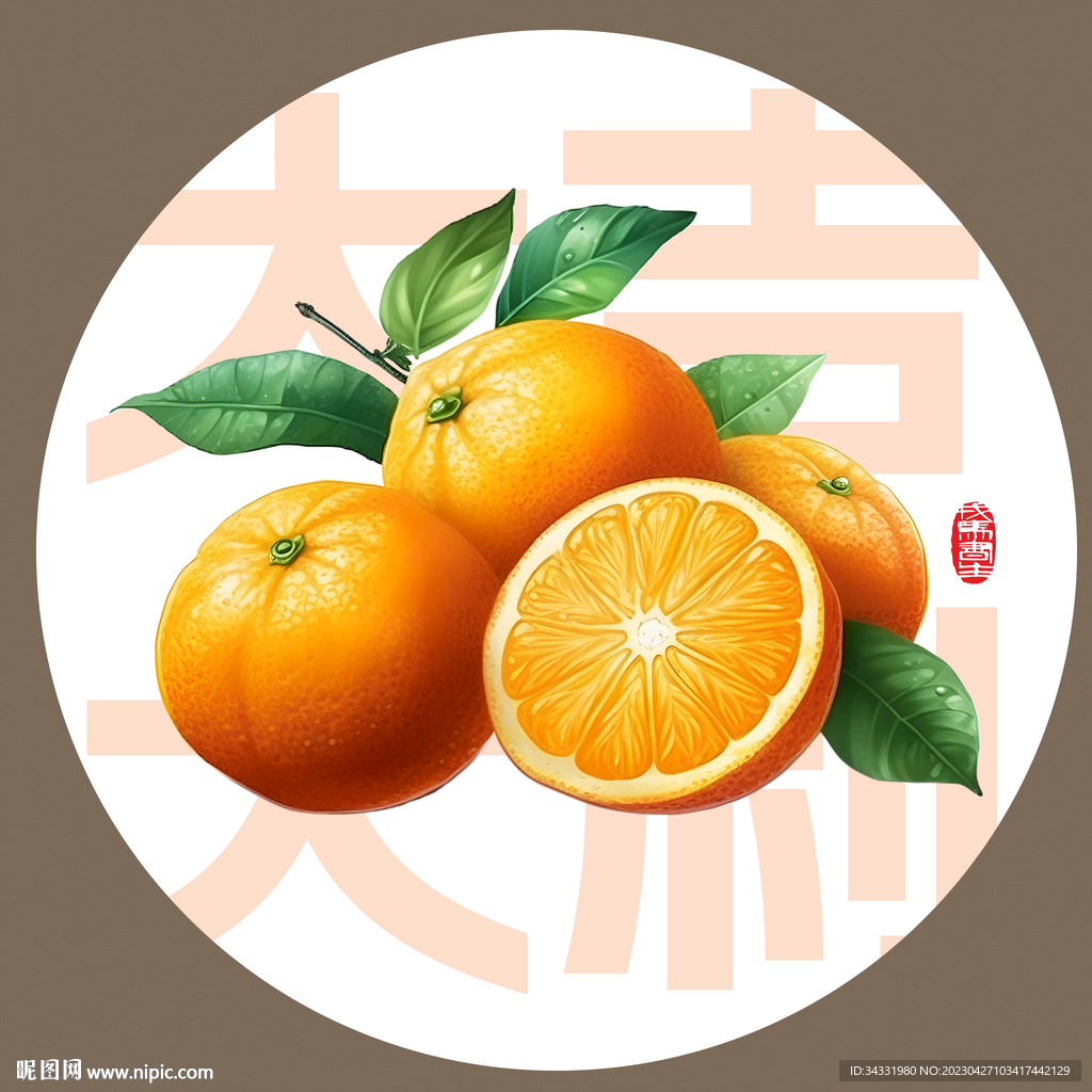 桔子插画