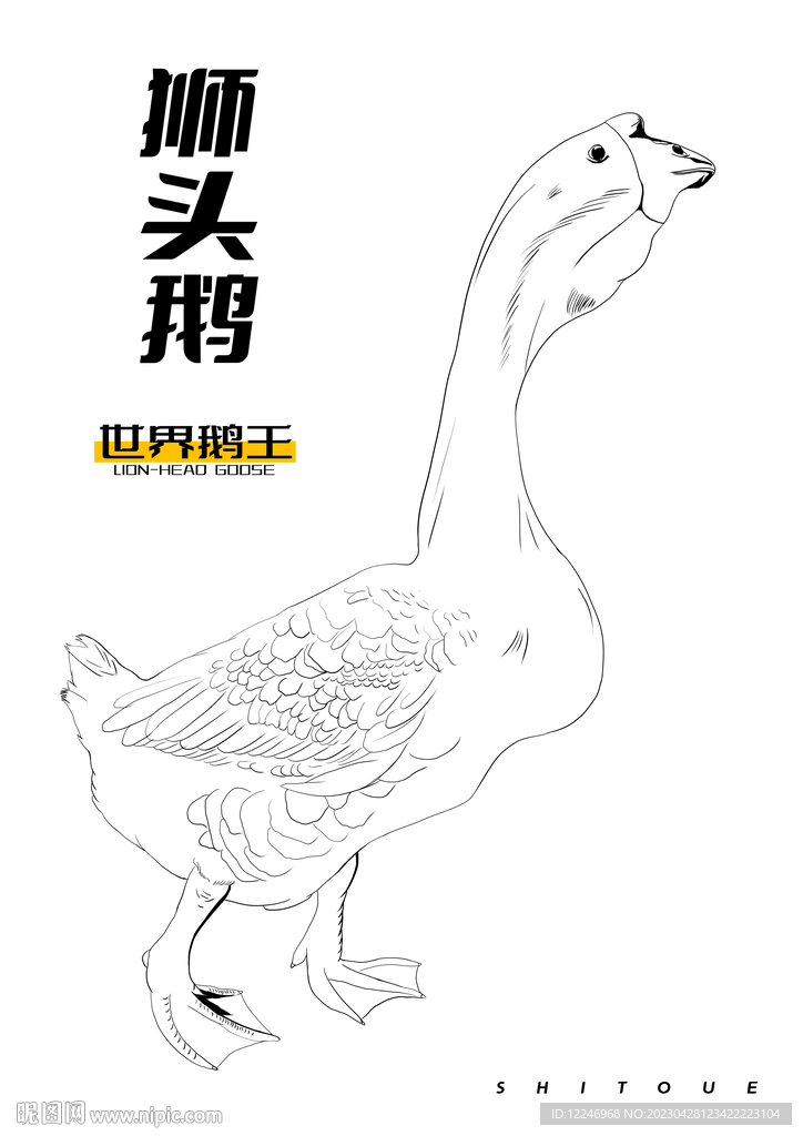 狮头鹅
