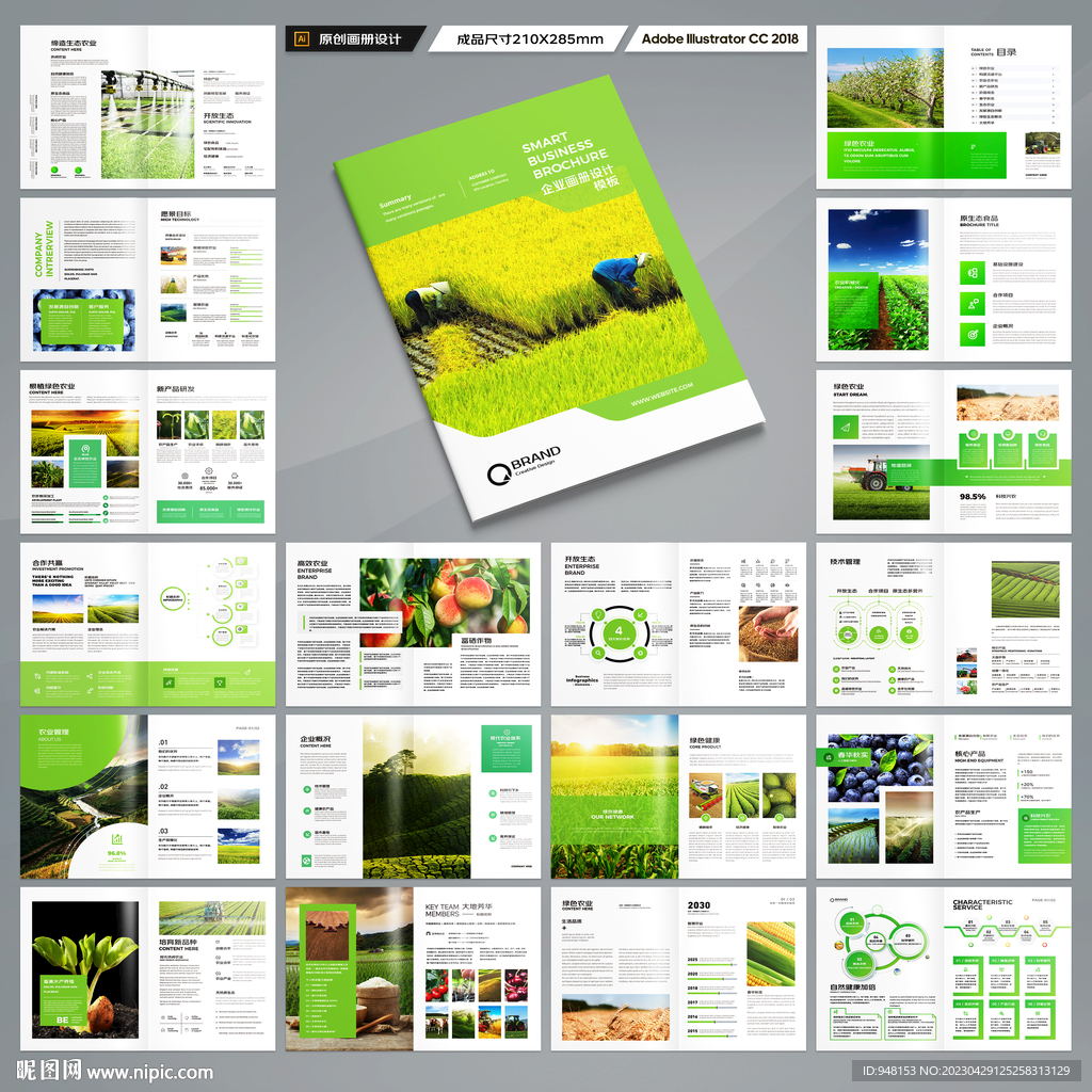 农业合作社画册