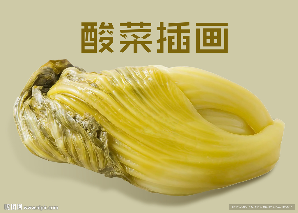 酸菜插画
