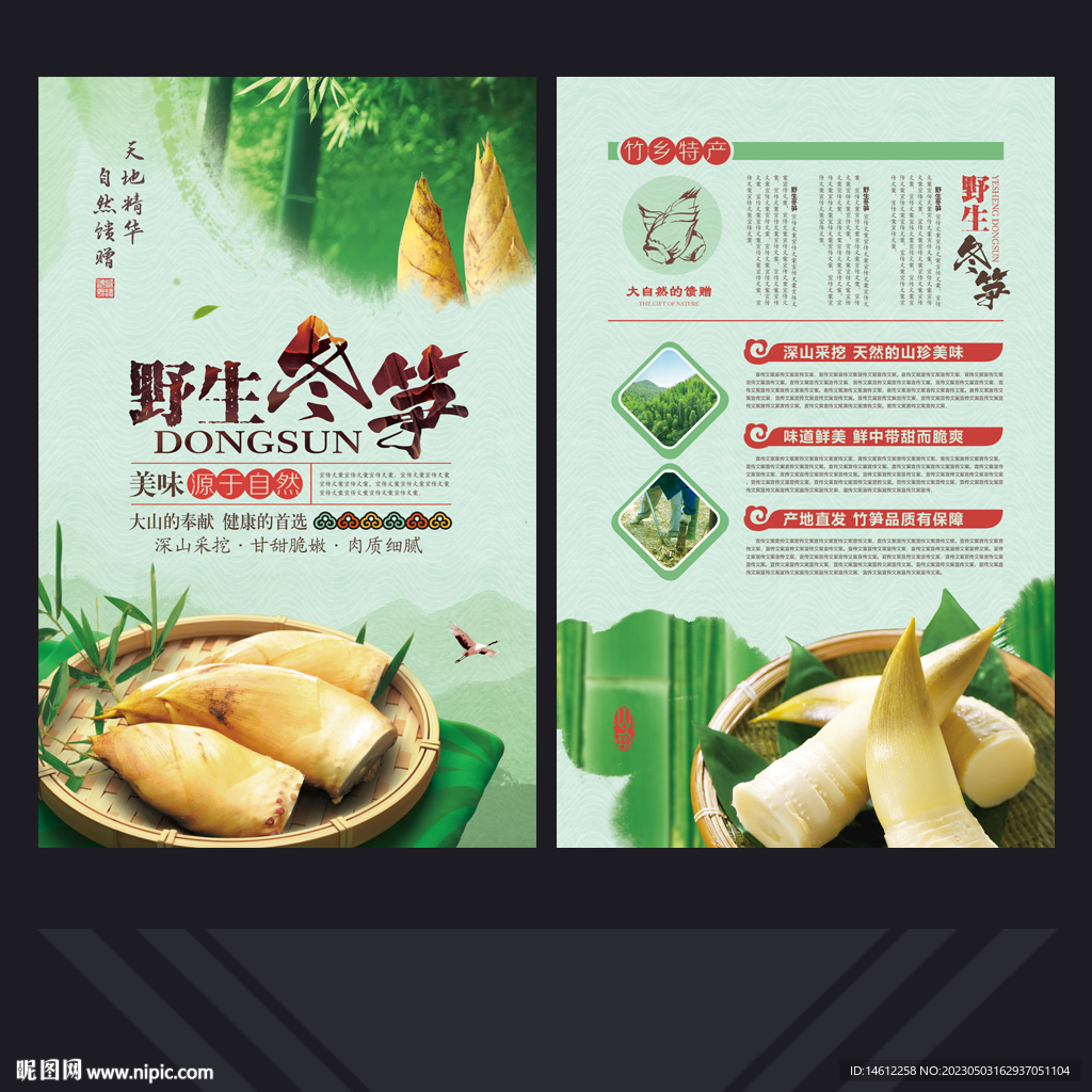 冬笋