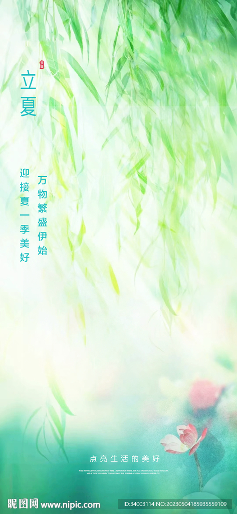 立夏 柳叶 荷花