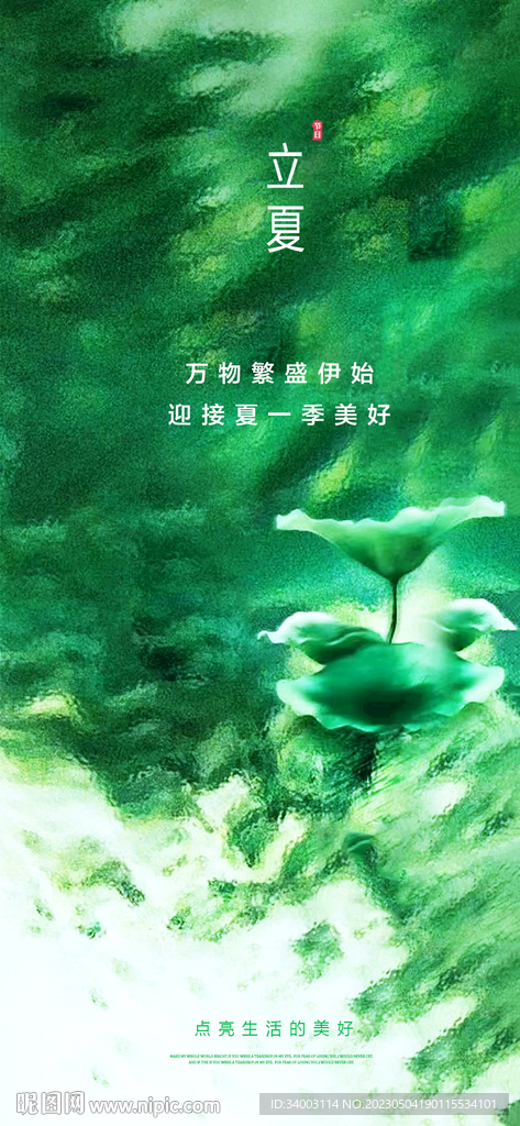 立夏 荷花