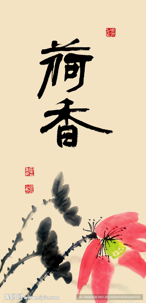 荷花