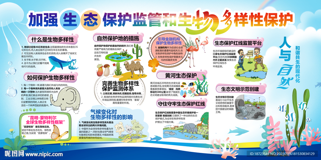 加强生态保护监管和生物多样性保