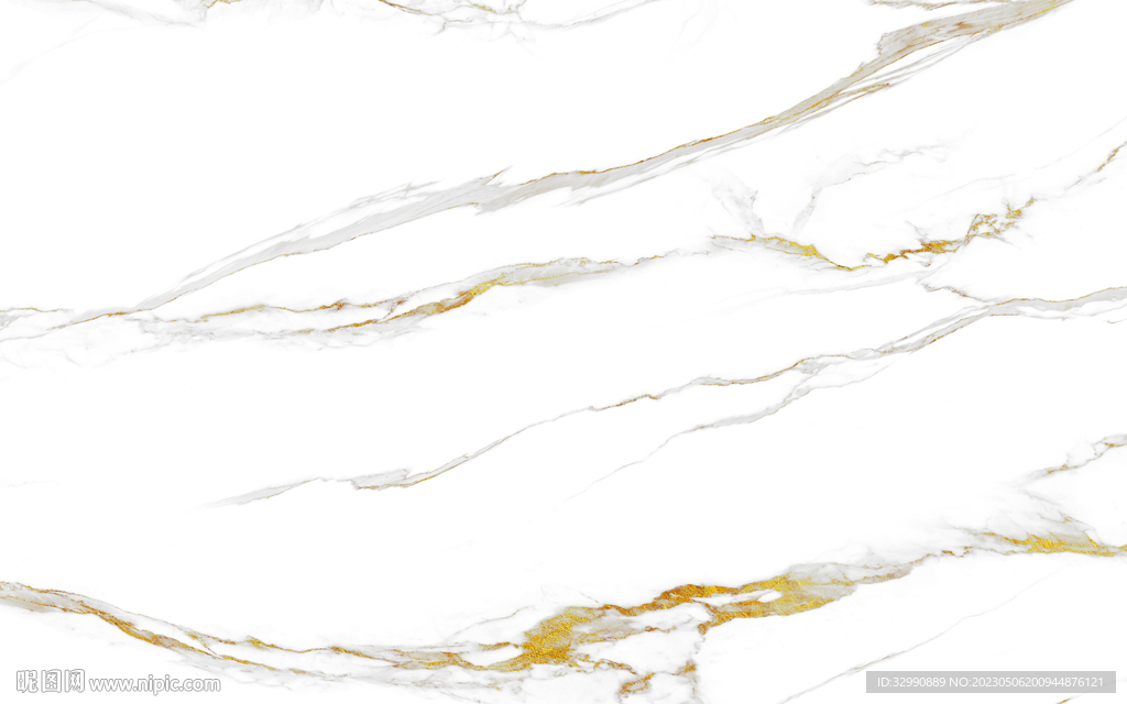 人气 金线鱼肚白 TIF合层