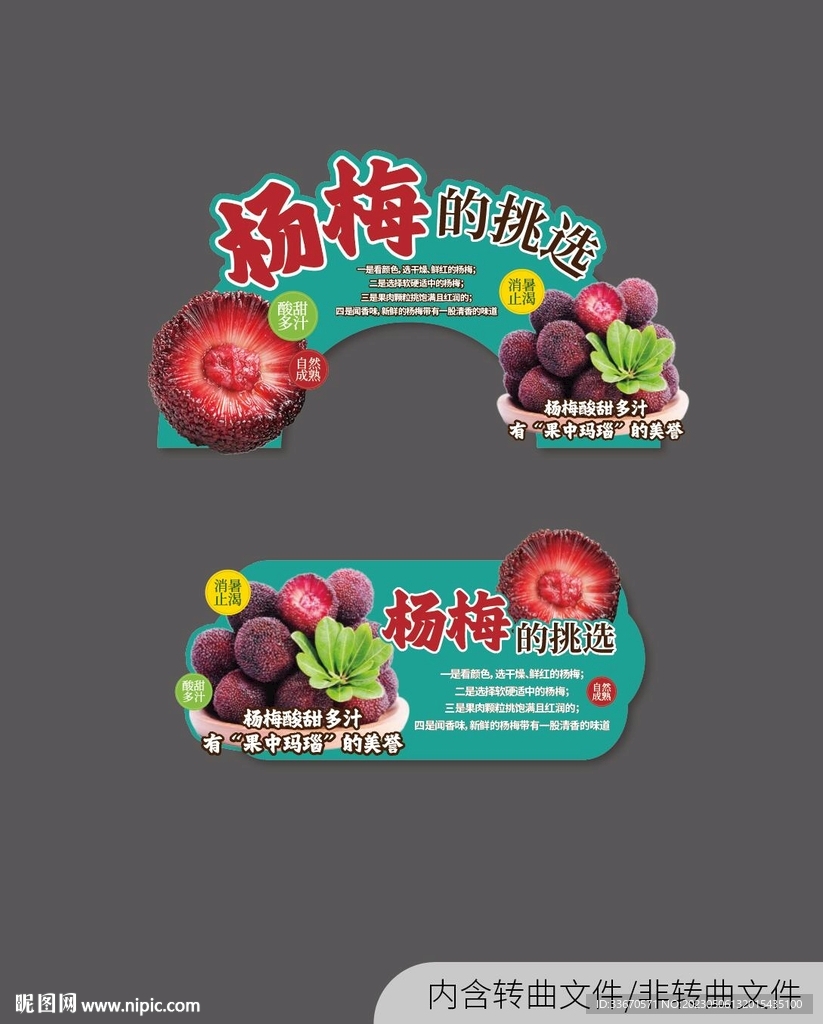 杨梅的挑选
