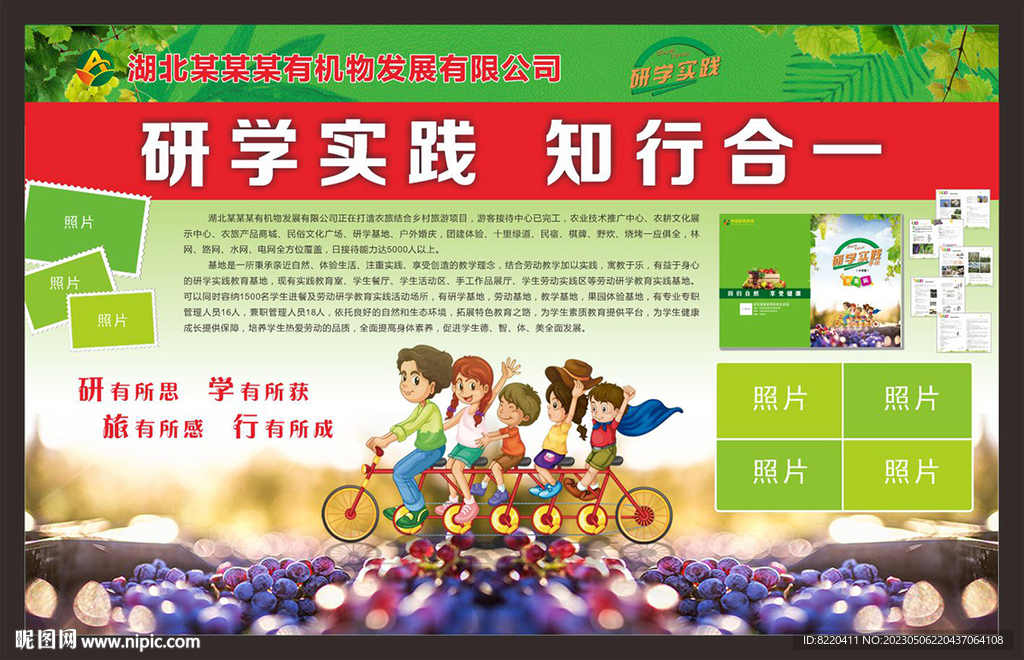 研学实践旅游葡萄园农庄 