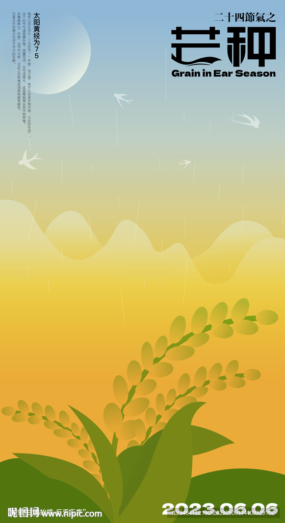 芒种