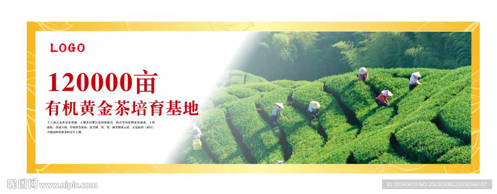 茶园