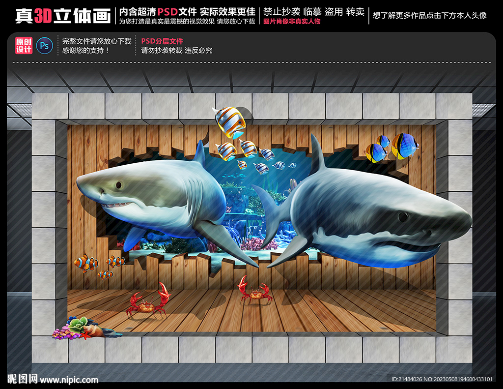 3D鲨鱼立体画
