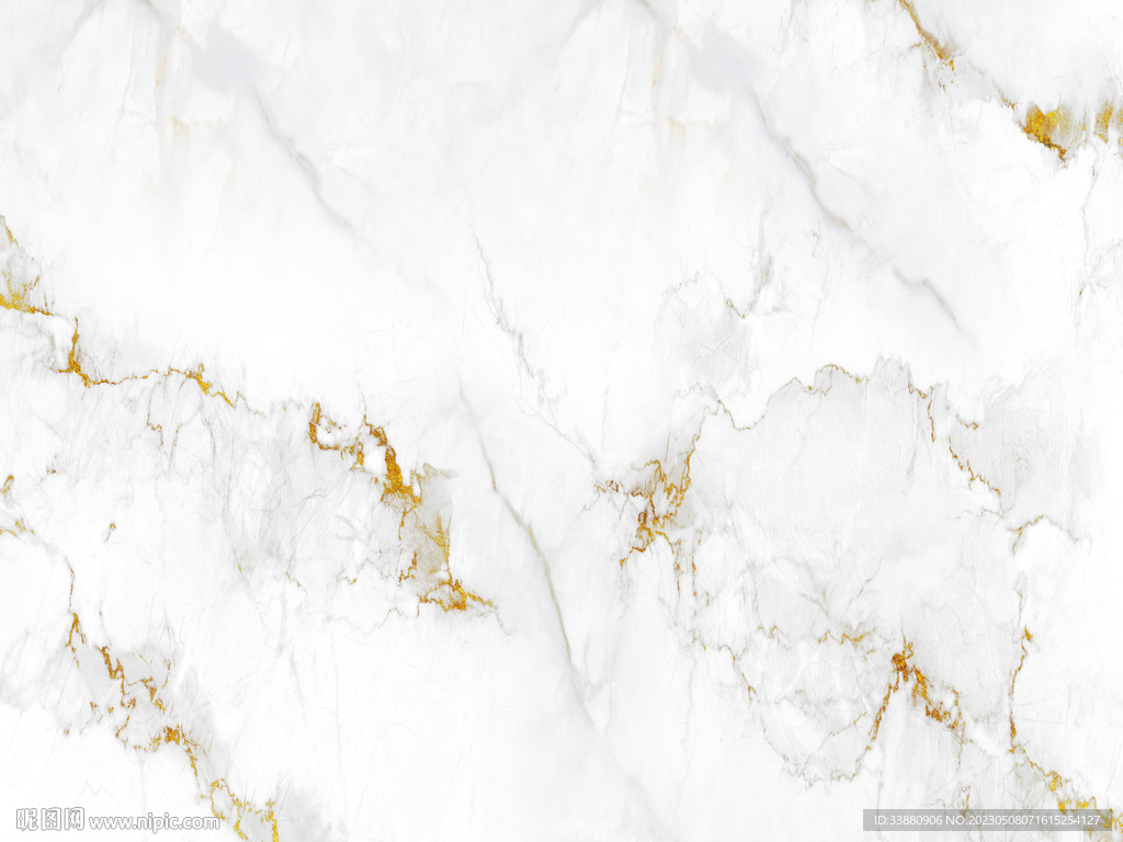 高清 金色鱼肚白画 TIF合层