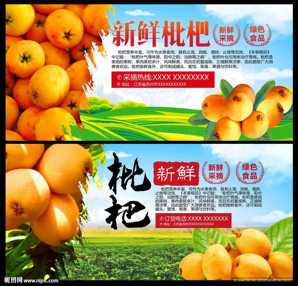 枇杷