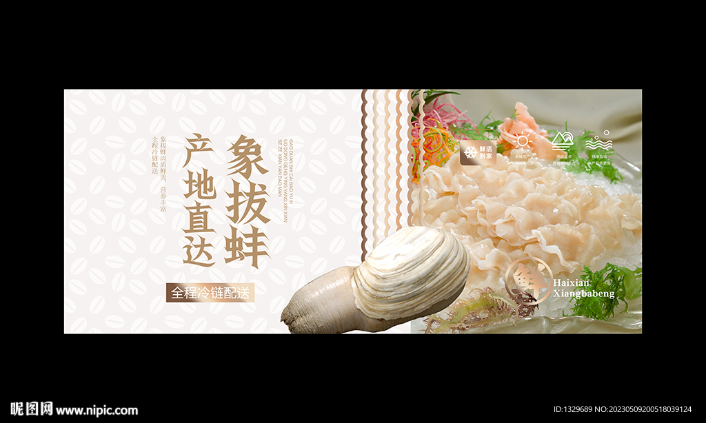 象拔蚌
