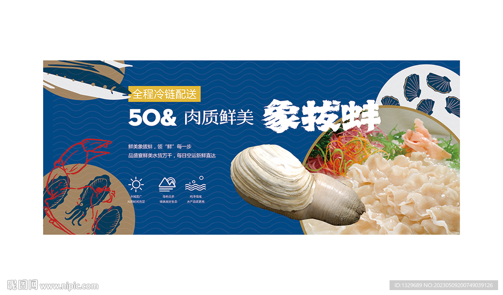 象拔蚌