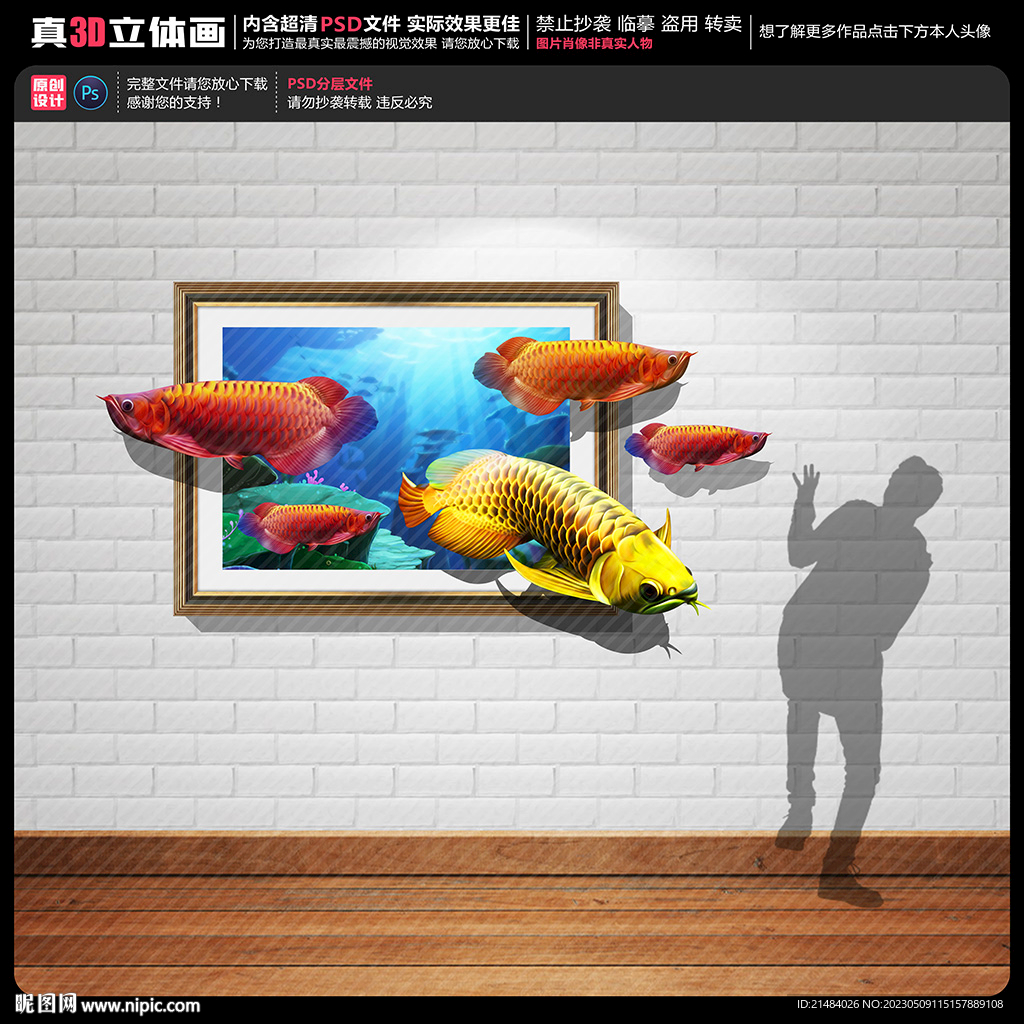3D相框金龙鱼立体画