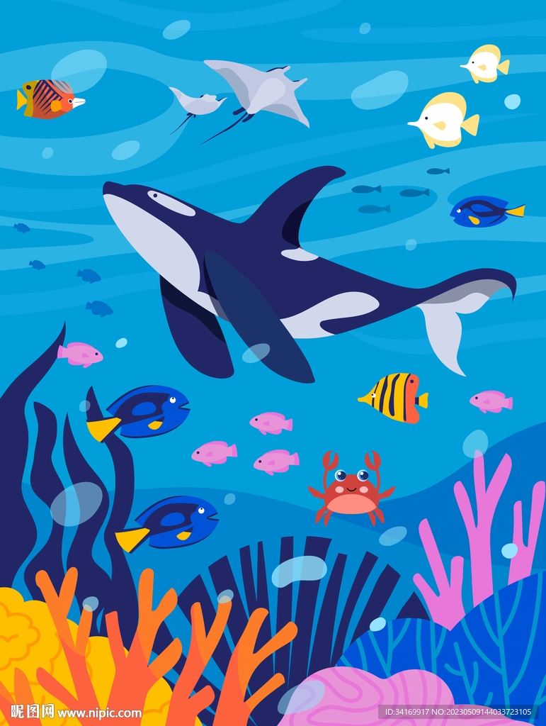 卡通鲸鱼手绘海底珊瑚热带鱼背景