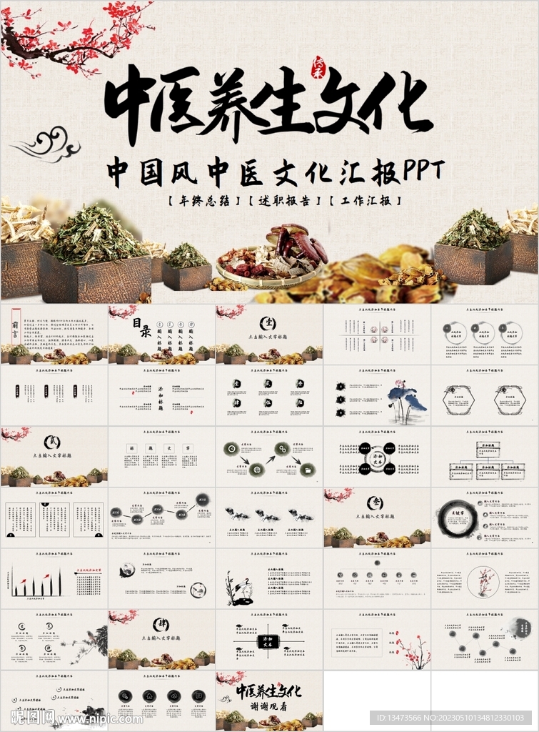传统中医学中医文化养生PPT