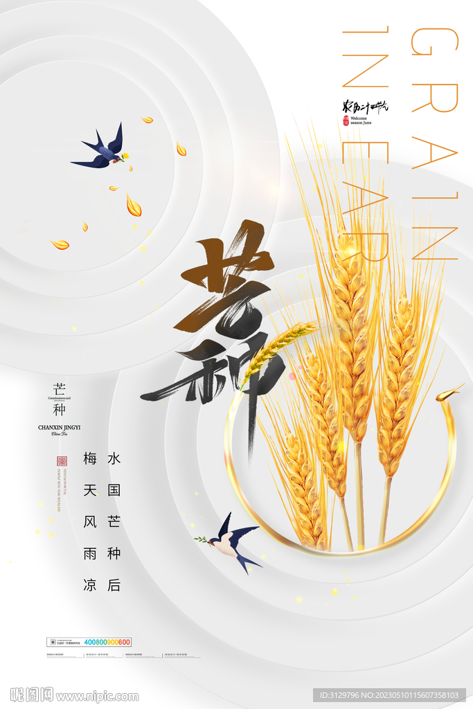 芒种海报