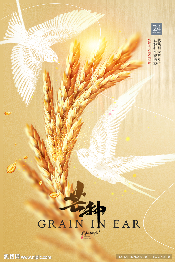 芒种海报